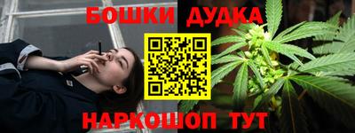 МДПВ Сланцы