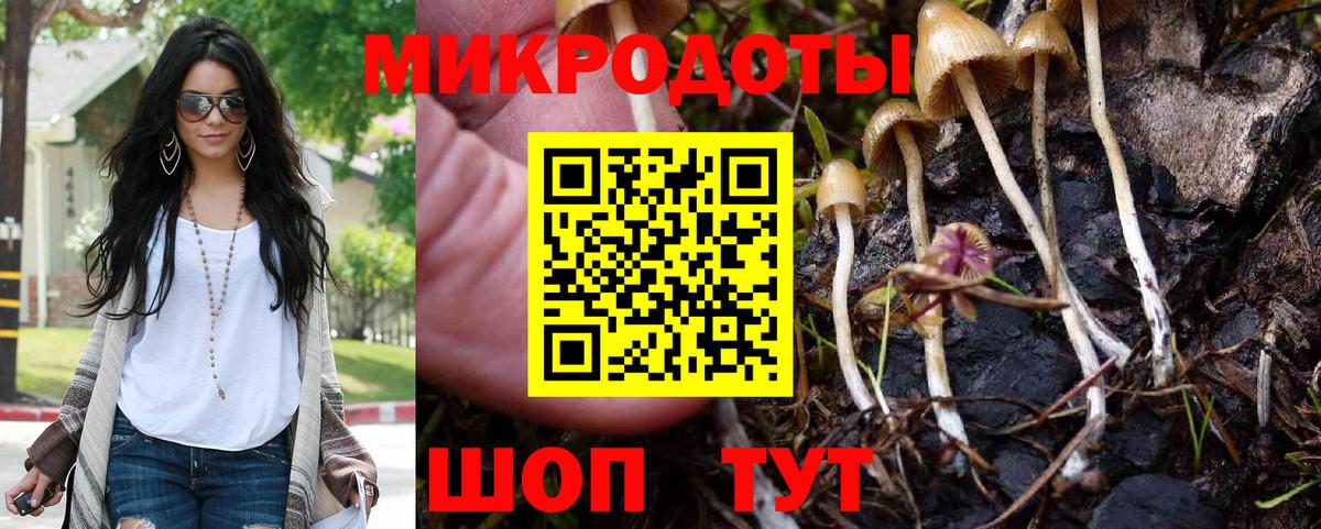 Галлюциногенные грибы Psilocybe Печора